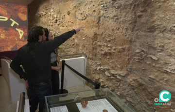 Lugar donde se localizaron los restos del can de la época romana en la Testaccio de Gades