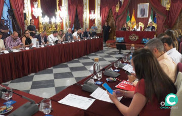 Un momento de la sesión de este miercoles en el Palacio Provincial