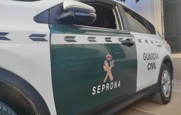 Coche del Servicio de Protección de la Naturaleza (Seprona)