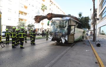 Imagenes del siniestro del 09 de octubre del 2023 en la capital gaditana