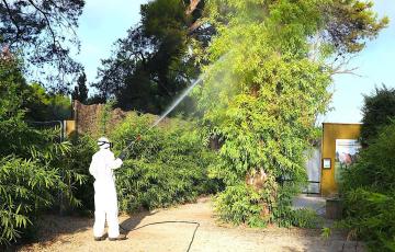 Un operario realizando tareas de fumigación en el Zoobotánico de Jerez 
