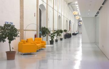 La Mesa Municipal del Empleo de Cádiz celebrará su primera Feria del Empleo en los Depósitos de Tabaco