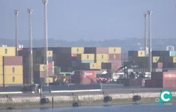Imagen del Muelle Reina Sofía 