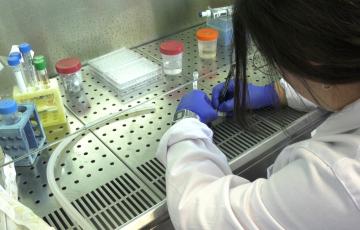 Un estudio andaluz indentifica un biomarcador en sangre para mejorar el diagnóstico del cáncer de ovario