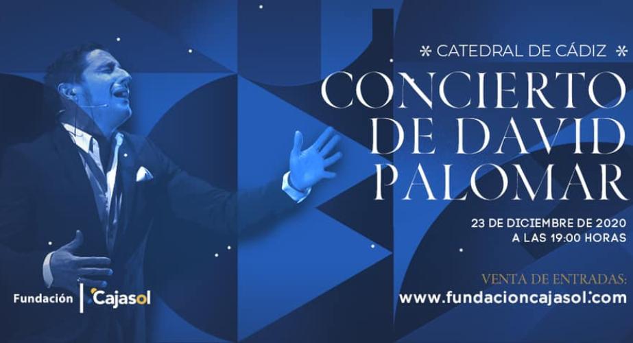 David palomar - concierto de navidad