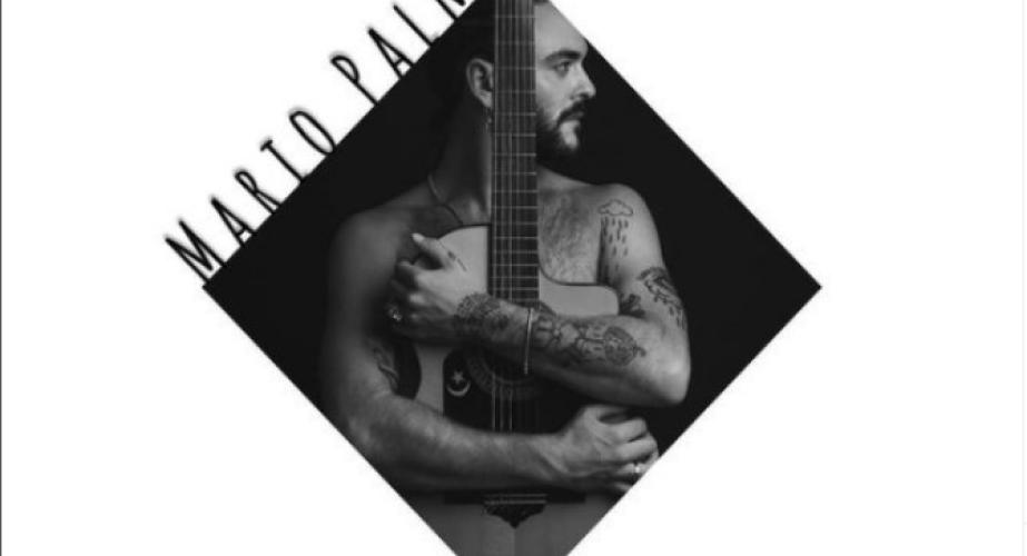 Mario palma