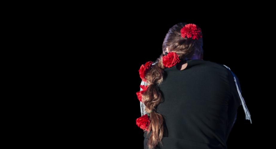 Resiliencia flamenca