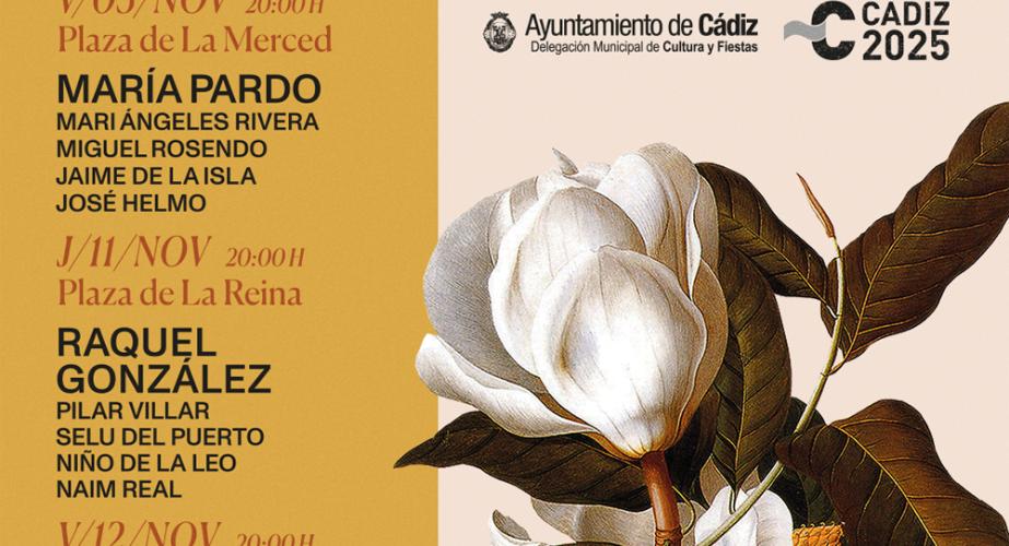 Flamenco en los patios y plazuelas