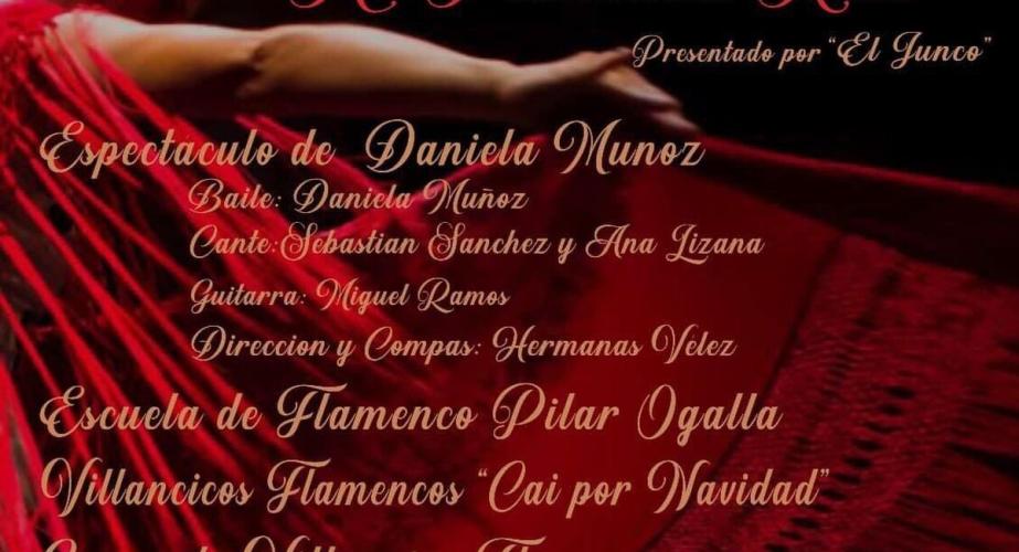 Gala flamenca navideña a beneficio de la asociación "mi princesa rett"