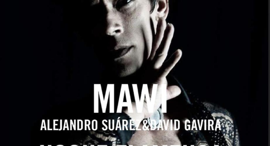 Noche flamenca con mawi