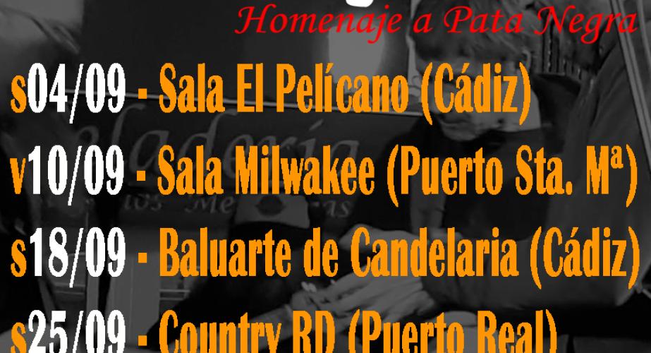 Patapalo. homenaje a pata negra