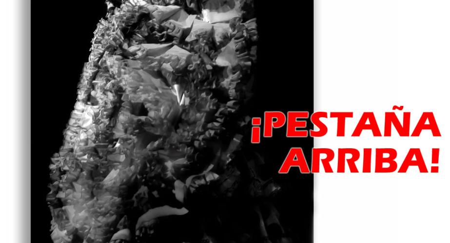 Rosario toledo: "pestaña arriba"