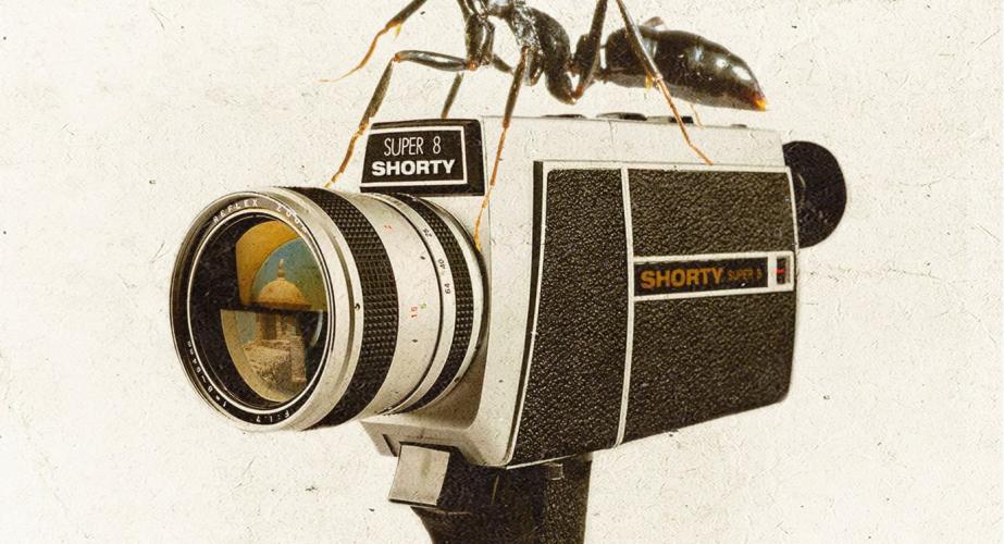 Shorty week 2021