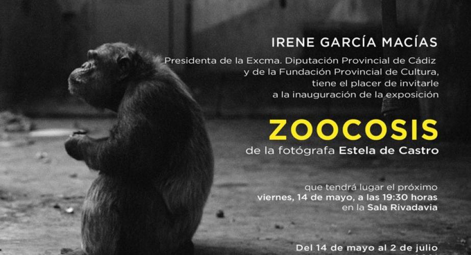 "zoocosis". estela de castro