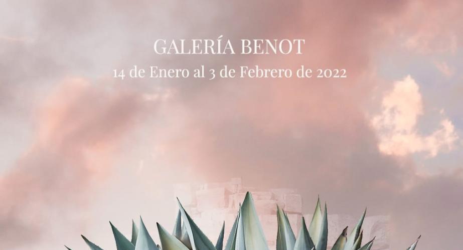 El drago: entre la tierra mítica y el cielo enamorado. manuel virella in memoriam