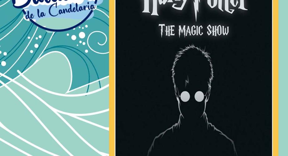 Harry potter - the show