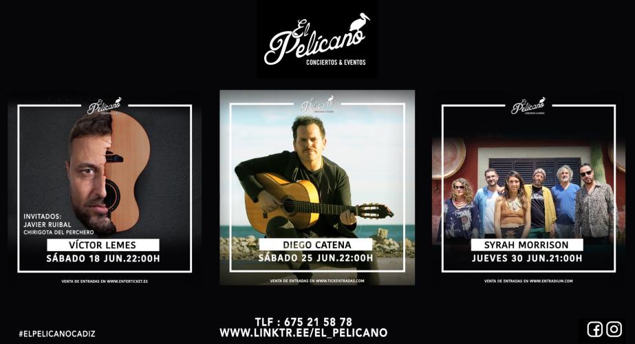 Junio en el pelícano