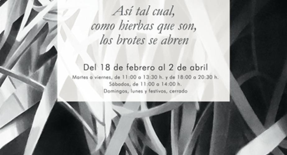 "asi tal cual como hierbas que son los brotes se abren". magdalena bachiller