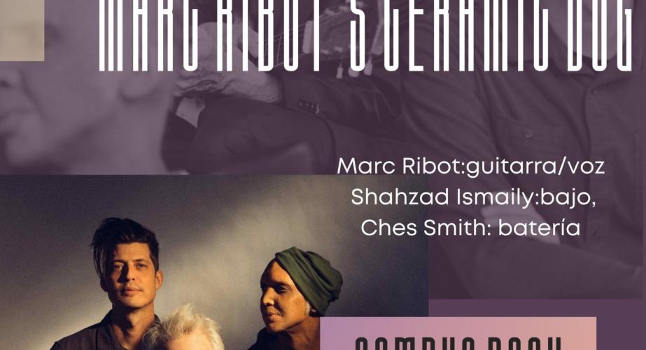 Campus rock: marc ribot´s ceramic dog