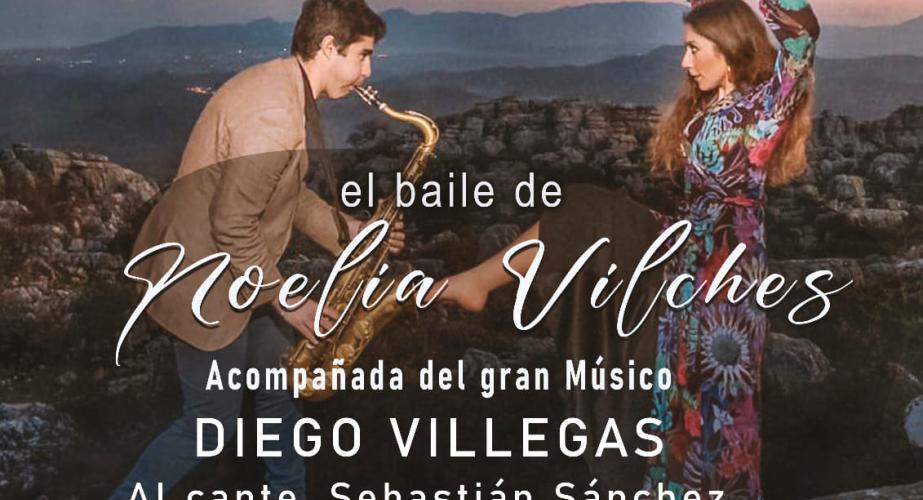 Noelia vilches y diego villegas