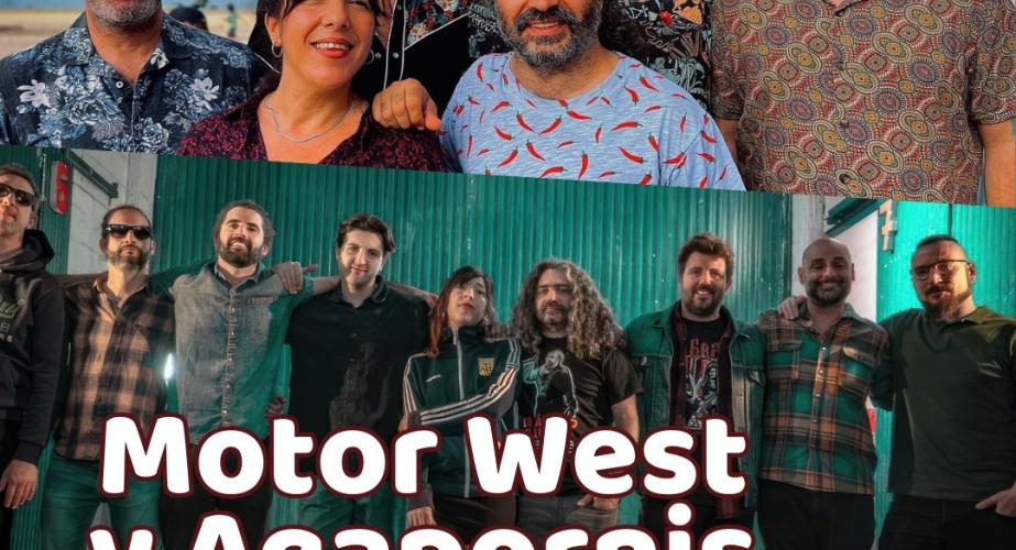 Motor west y agapornis en concierto