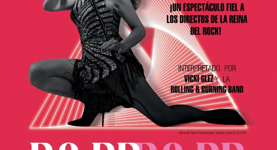 Tina turner live experience