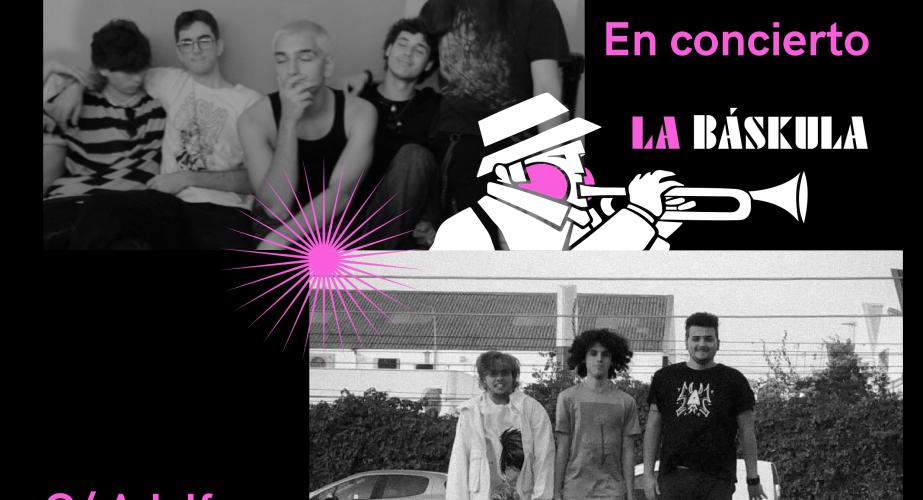 Concierto en la báskula con "holehead" y " black moss"