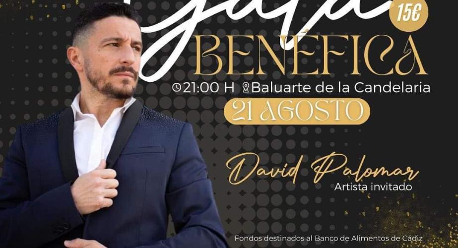 Gala benefica "david palomar"