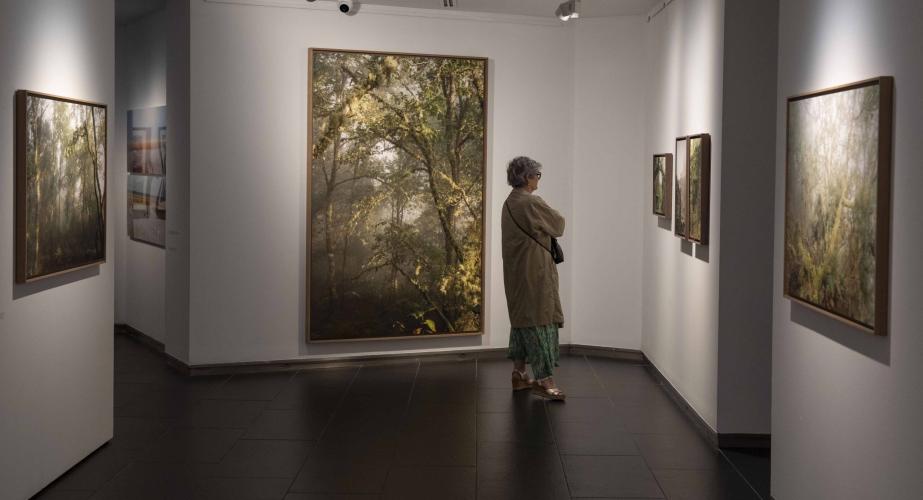 "mirar un paisaje. seis visiones contemporáneas"