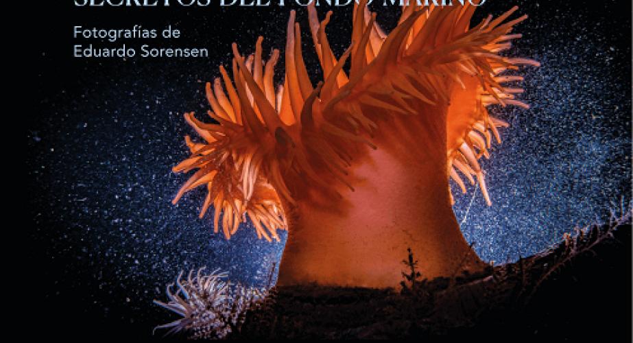 "chile, chile, voces de la patagonia: secretos del fondo marino". eduardo sorensen