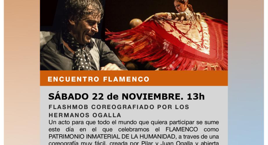 Flashmob coreografiado por los hermanos ogalla