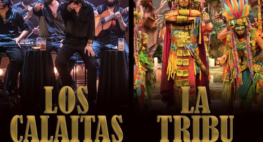 Gala solidaria de carnaval