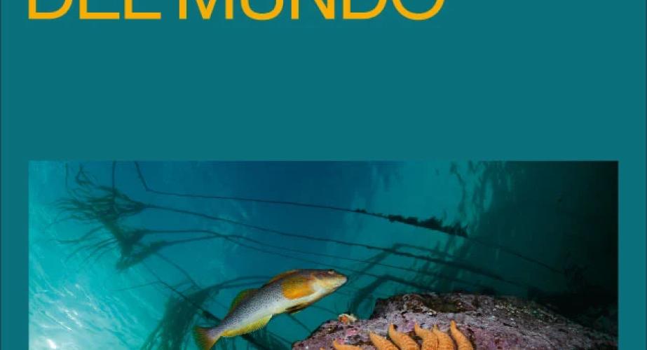 "colores del mundo"