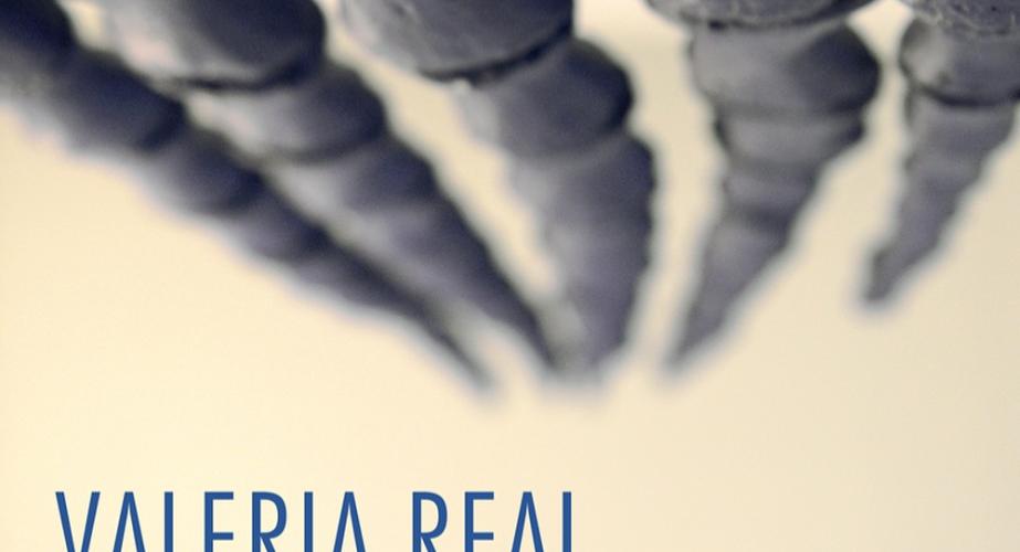 "del mar al cielo". valeria real