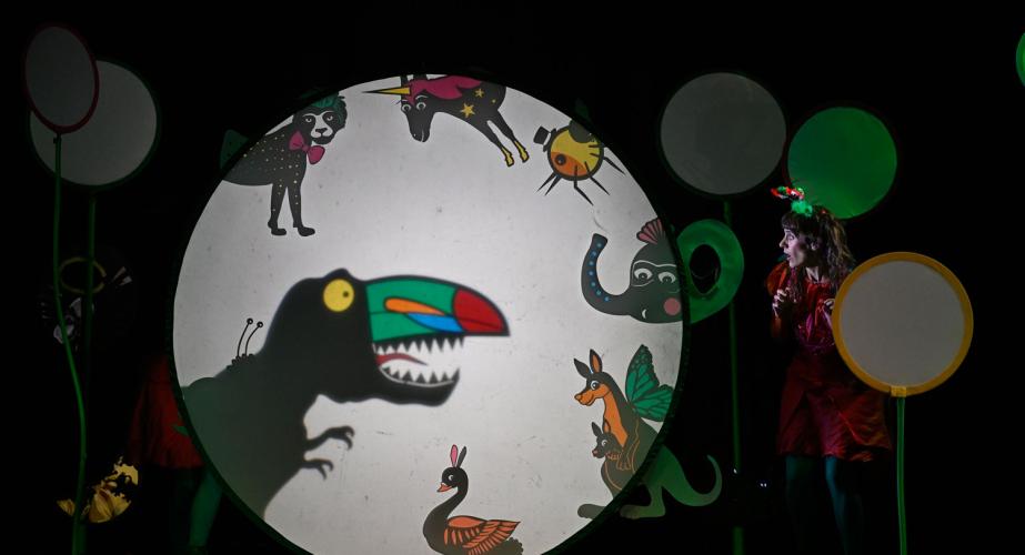 Luz, micro y punto: "el carnaval animal"