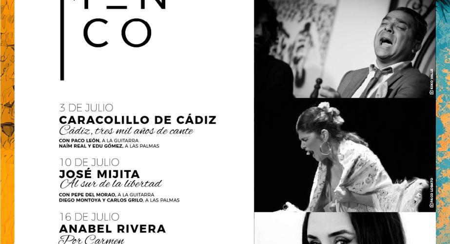 Vii estival flamenco