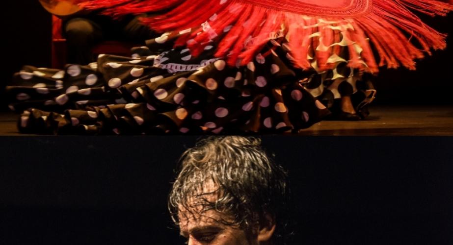 Flashmob coreografiado por los hermanos ogalla