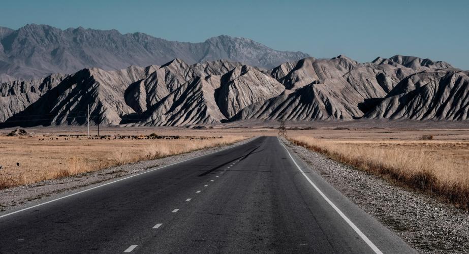 "skin fields". Àlex domènech