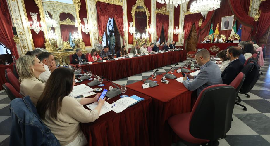 Pleno ordinario de la Diputación de Cádiz del mes de abril. 