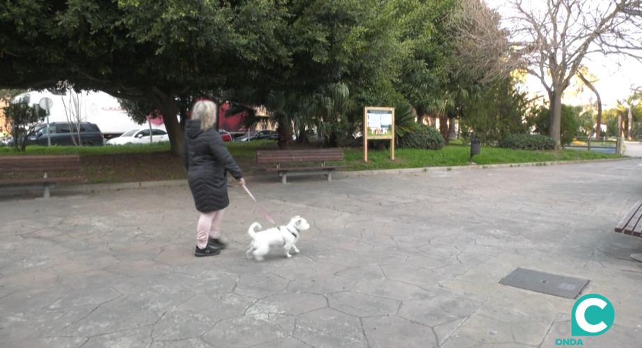 Una vecina de Cádiz paseando a su mascota por las calles de la ciudad. 