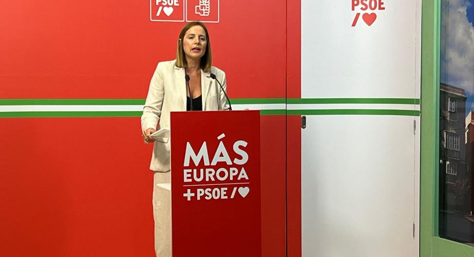 La diputada provincial del PSOE Ana Carrera, en rueda de prensa. 