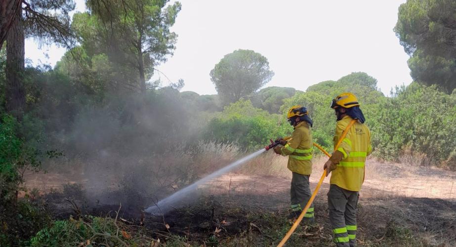 Efectivos del Plan Infoca actuando en el incendio declarado en Puerto Real el lunes 9 de junio.
