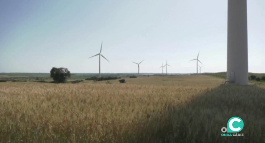 La provincia es la primera en Andalucía en potencia eólica 