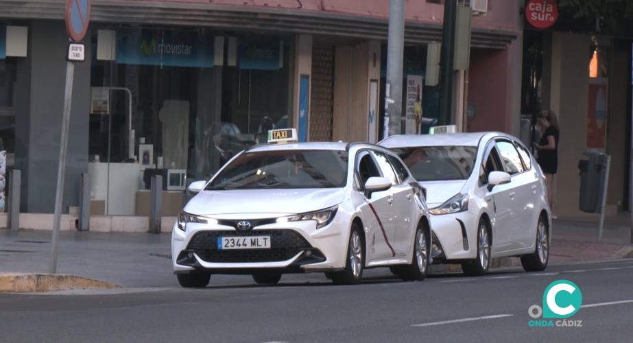 Imagen de una de las paradas de taxi habilitadas en Cádiz capital. 