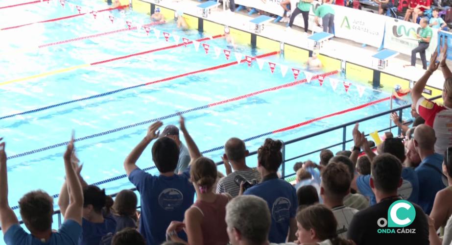 Numeroso público ha seguido las pruebas en la piscina Ciudad de Cádiz