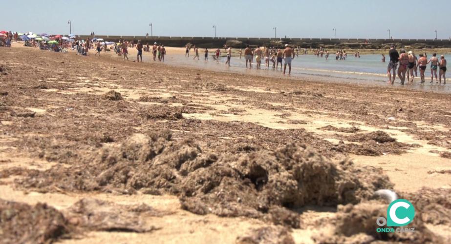 Estado de la conocida playa gaditana en una imagen de arhivo
