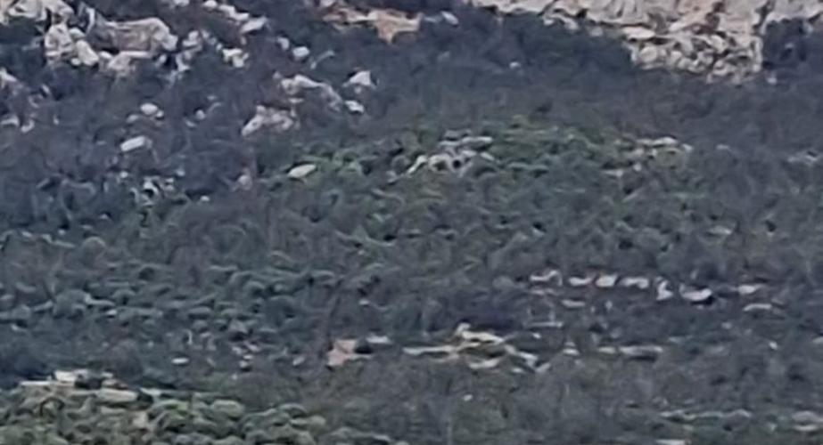 Imagen del siniestro junto a la playa