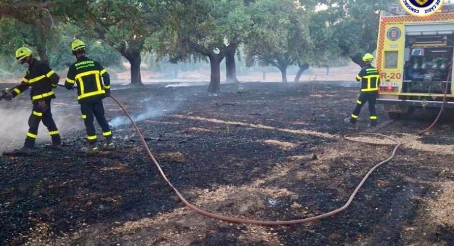 Bomberos actuando en el incendio declarado el miércoles en Jerez.