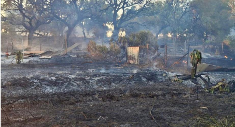 Superficie quemada por el incendio de pastos en la zona rural de Jerez de la Frontera.