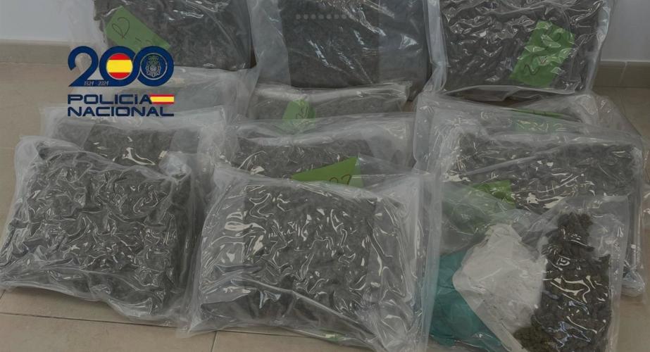 Género incautado en el vehículo